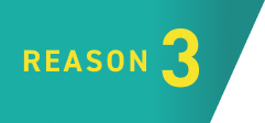 REASON 3