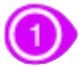 Icon 1