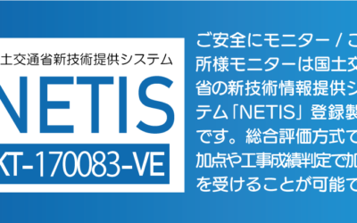 NETIS